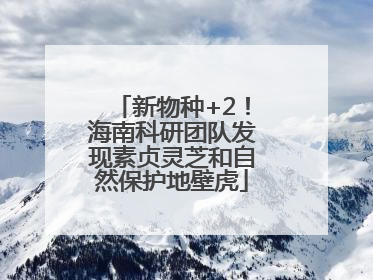 新物种+2！海南科研团队发现素贞灵芝和自然保护地壁虎